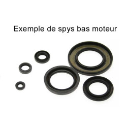 Pochette de joints spi bas-moteur ROTAX 277 (SKI DOO) CITATION 3500/SKANDIC 1983-84
