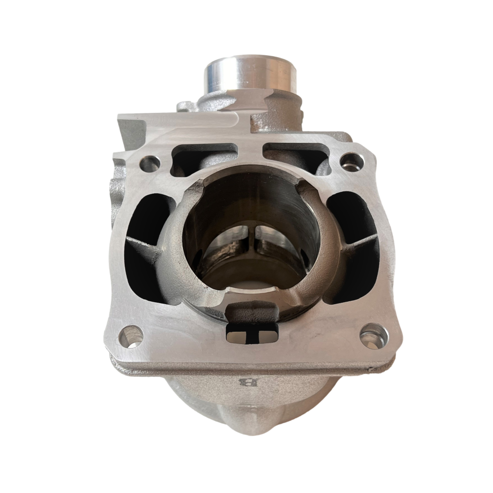 CYLINDRE / PISTON pour Yamaha 125 TW - DE01 - DE054 EUR 145,00