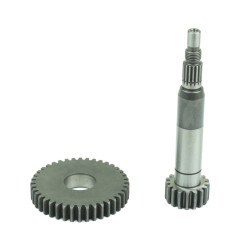 Primary Gear - Z 17/40 Athena 1 - AVSmoto Racing Parts 