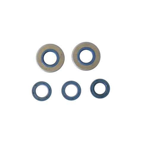 Pochette de joints spi moteur