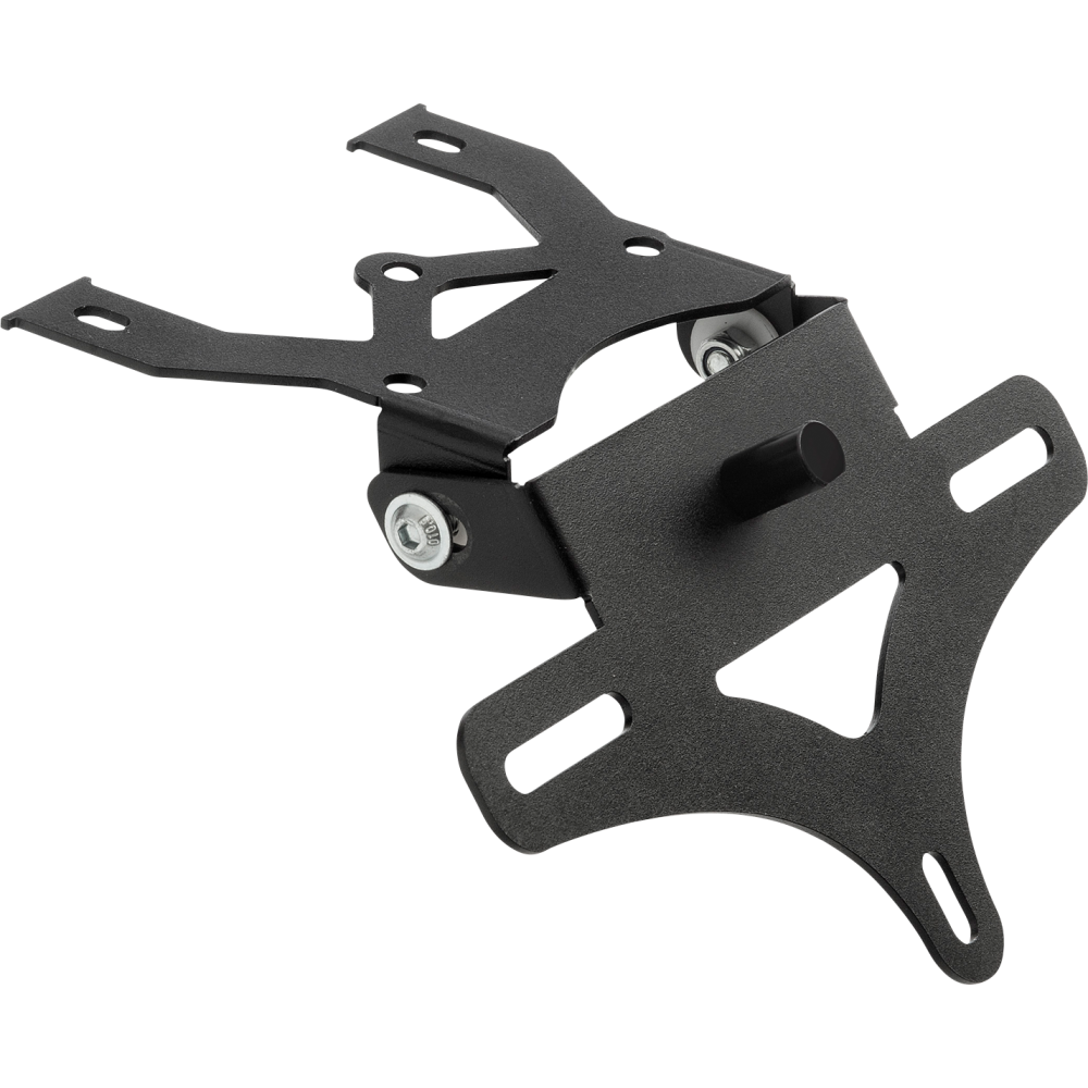 LICENSE PLATE HOLDER