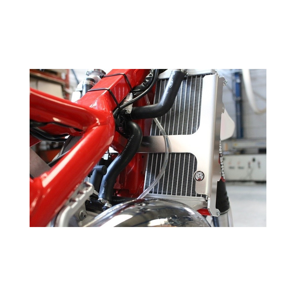 Protection de radiateur AXP aluminium - Beta RR 125