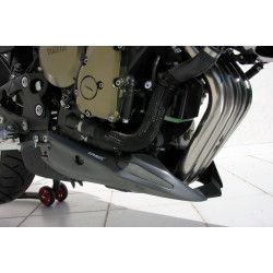 Sabot moteur Ermax Yamaha XJ6 2009-12