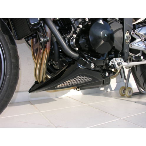 Sabot moteur Ermax Triumph Street Triple 675 2008/2011