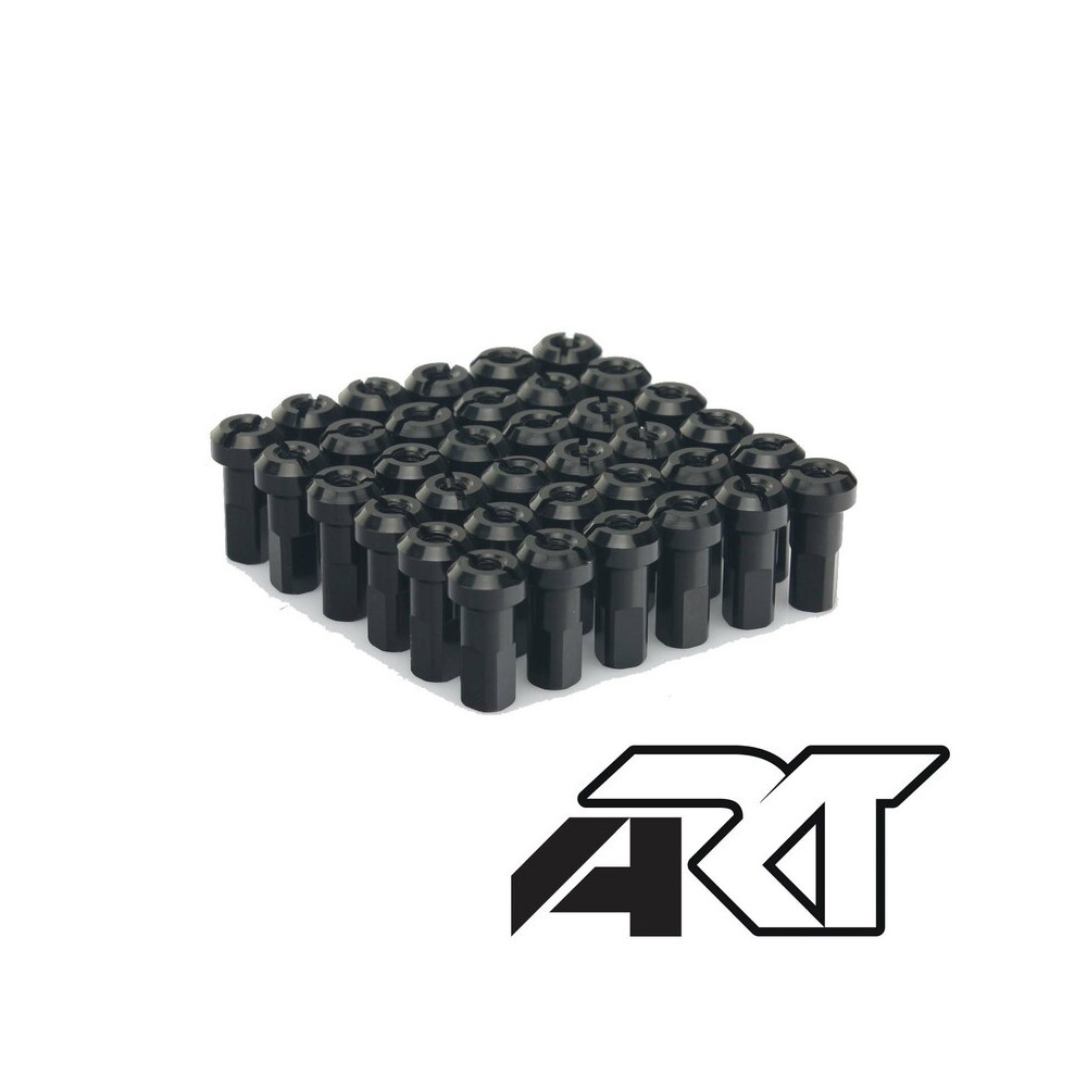 Jeu de têtes de rayon HAAN WHEELS - x36 ART 1 - AVSmoto Racing Parts 