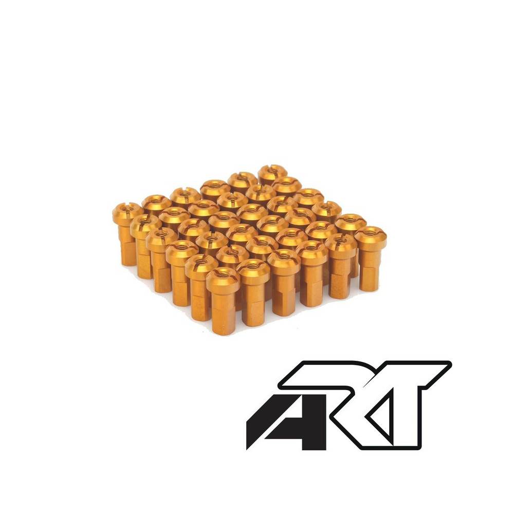 Jeu de têtes de rayon HAAN WHEELS - x36 ART 1 - AVSmoto Racing Parts 