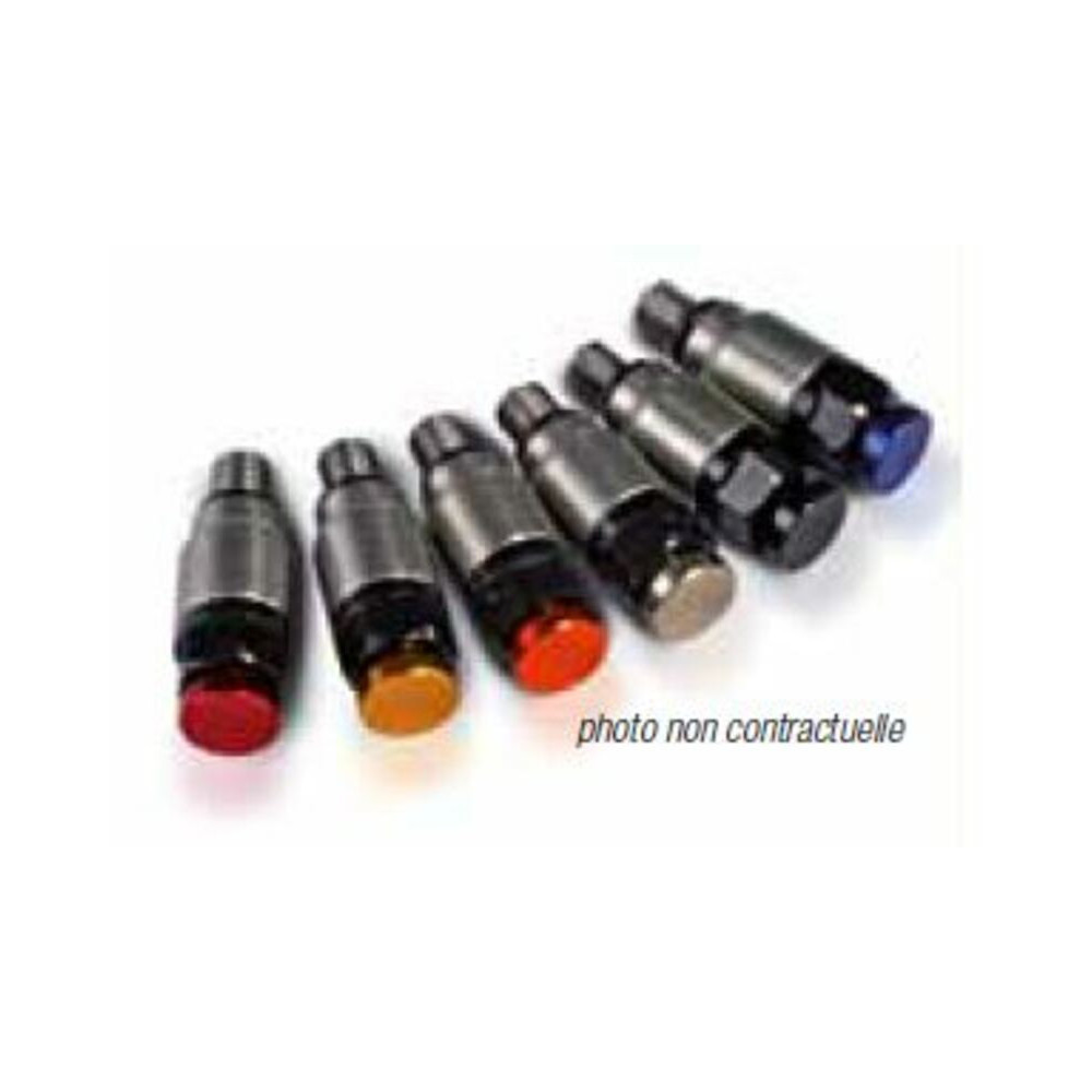 VALVE DECHARGE PRESSION EN INOX POUR FOURCHE WP INOX M4X0,7 Bihr 1 - AVSmoto Racing Parts 