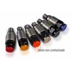 VALVE DECHARGE PRESSION EN INOX POUR KAYABA/SHOWA M5X0.8 Bihr 1 - AVSmoto Racing Parts 