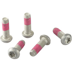 Jeu de 5 vis inox pour disque de frein