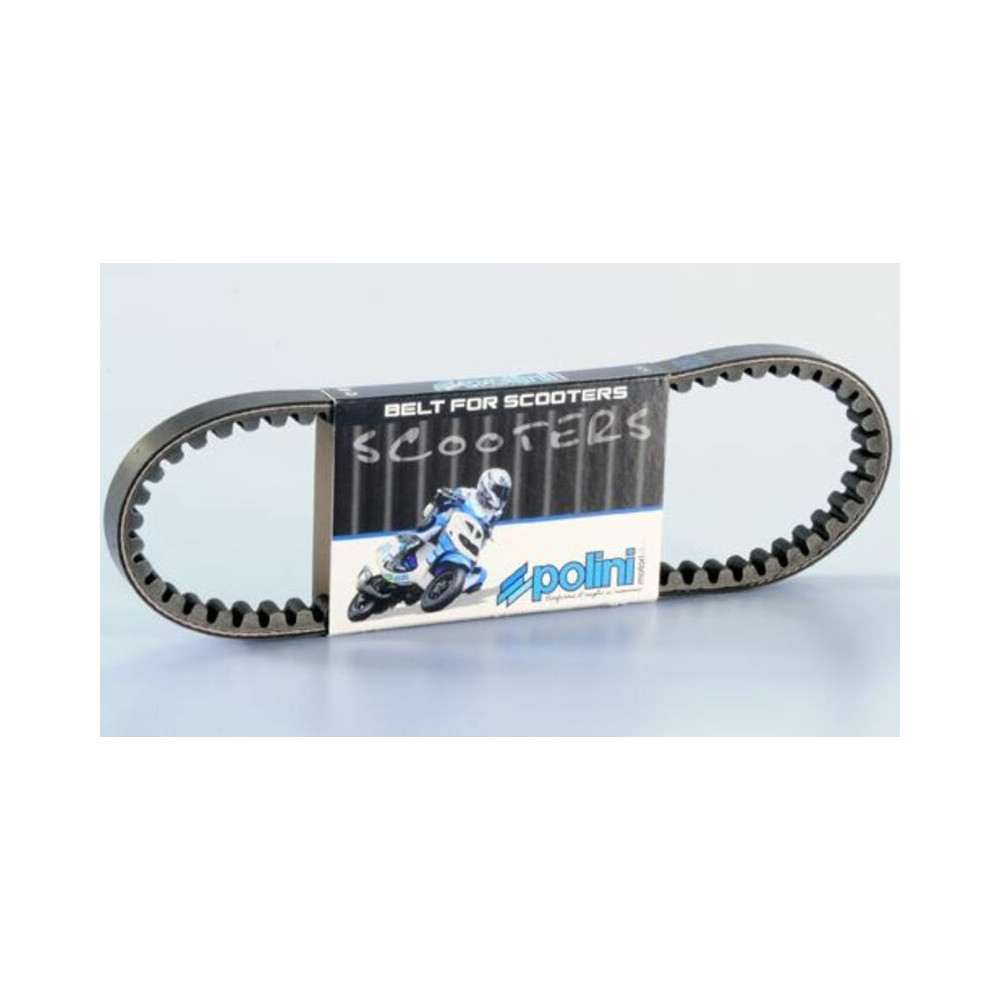 Courroie de transmission POLINI standard