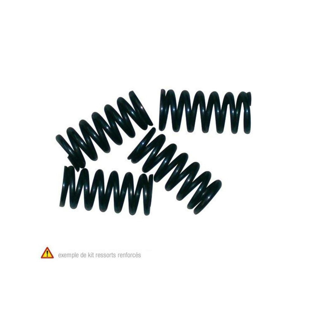 Kit ressorts d'embrayage NEWFREN Minarelli APRILIA RS, RIEJU RR,RS1, YAMAHA TZR 50 97-05 NEWFREN 1 - AVSmoto Racing Parts 
