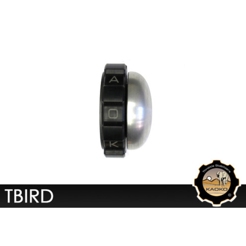 Stabilisateur de vitesse KAOKO Cruise Control Triumph Thunderbird KAOKO 1 - AVSmoto Racing Parts 