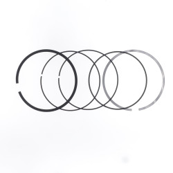 Segments Ø 95 mm pour piston Athena Athena 1 - AVSmoto Racing Parts 