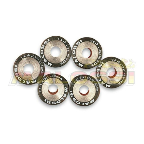 Jeu de galets MALOSSI 19x15,5mm 4gr - 6 pièces Malossi 1 - AVSmoto Racing Parts 