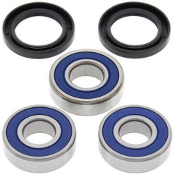 Kit roulements de roue arrière ALL BALLS Honda CBR600F2 ALL BALLS 1 - AVSmoto Racing Parts 