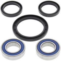 Kit roulements de roue avant ALL BALLS Triumph ALL BALLS 1 - AVSmoto Racing Parts 