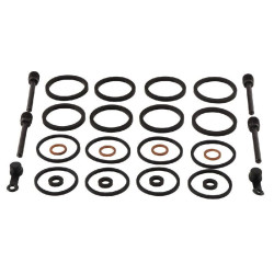 Kit réparation étrier de frein ALL BALLS ALL BALLS 1 - AVSmoto Racing Parts 