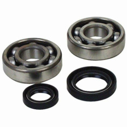 Kit roulements et joints spi de vilebrequin Yamaha 250 YZ-F