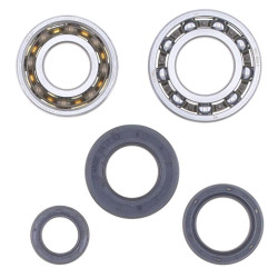 Kit vilebrequin roulements et bagues d'étanchéité