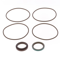 Kit joints spi de vilebrequin