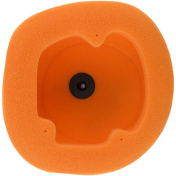 Filtre à air TWIN AIR - 158033