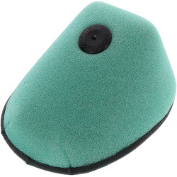 Filtre à air Twin Air...