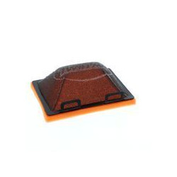 Filtre à air Twin Air