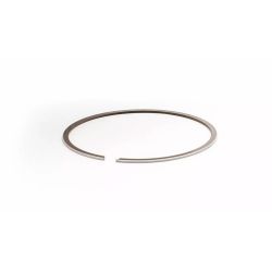 Segment simple Ø54.00mm Wossner