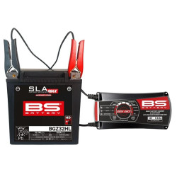 Chargeur de batterie pro-intelligent BS BATTERY BS60