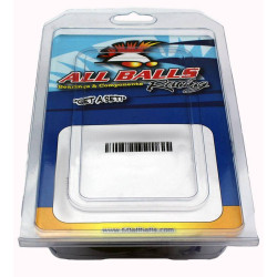 Kit roulements de colonne de direction BMW F900R/XR / S1000XR