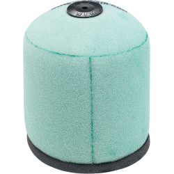 Filtre à air Twin Air...