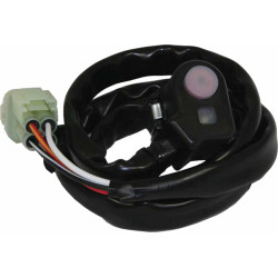 Bouton de démarrage RFX...