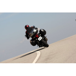 Valises latérales SHAD SH36 carbone