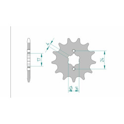 Pignon AFAM acier standard...