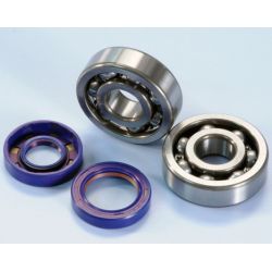 Kit roulements et joints spi de vilebrequin Racing Polini - AM6