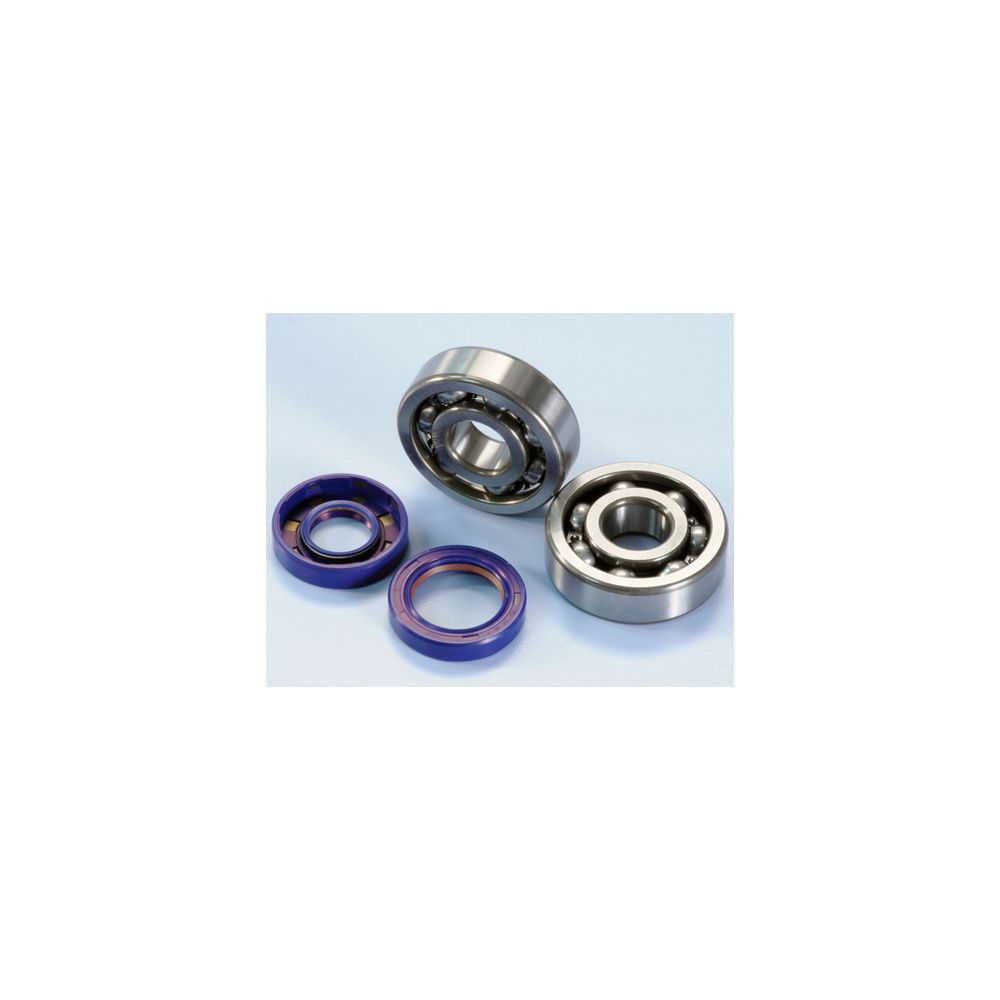 Kit roulements et joints spi de vilebrequin Racing Polini - AM6