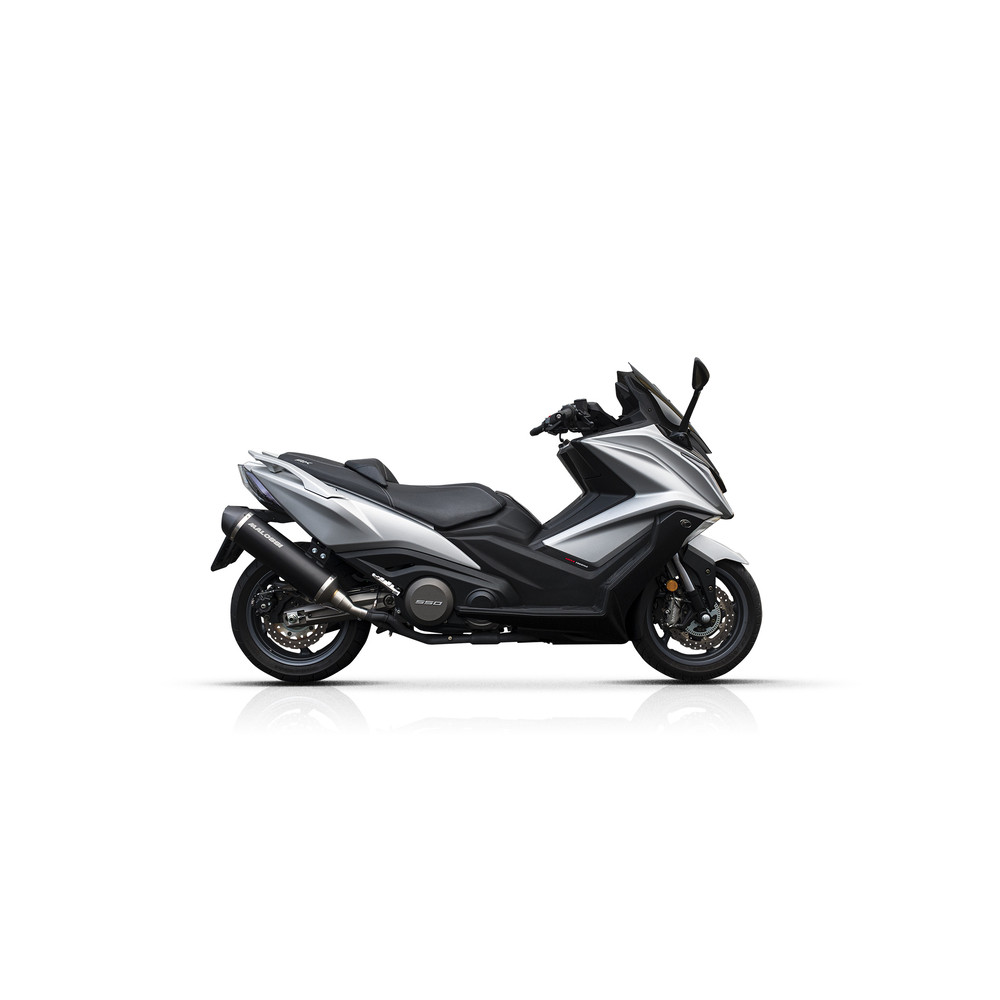 Silencieux MALOSSI Wild Lion