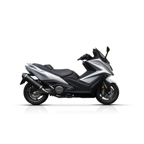 Silencieux MALOSSI Wild Lion