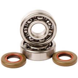 Kit roulements et joints spi de vilebrequin HOT RODS - KTM SX 65 1998-2008