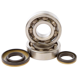 Kit roulements et joints spi de vilebrequin HOT RODS - Suzuki RM 250 2003-2004