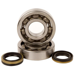 Kit roulements et joints spi de vilebrequin HOT RODS - Suzuki RM 250 2005-2008