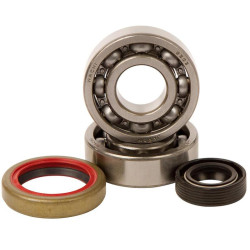 Kit roulements et joints spi de vilebrequin HOT RODS - KTM SX 50 2009-2012