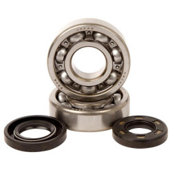 Kit roulements et joints spi de vilebrequin HOT RODS - Kawasaki KX 250 2T 1974-1986
