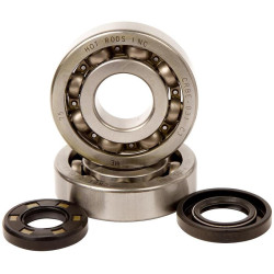 Kit roulements et joints spi de vilebrequin HOT RODS - Kawasaki KX 250 2T 2002-2008