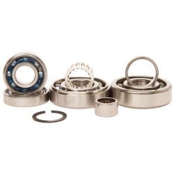 Kit roulements boîte de vitesse HOT RODS Kawasaki KX250