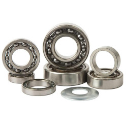 Kit roulements boîte de vitesse HOT RODS SX-F350 - KTM 350 SX-F 2011