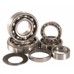 Kit roulements boîte de vitesse HOT RODS SX50 - Gas Gas / Husqvarna / KTM
