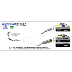 Echappement Arrow Pro-Race inox, Suzuki GSX 250 R 2017-20