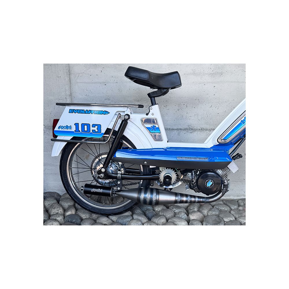 Pot Polini Racing G1 Peugeot 103 SP