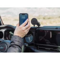 Adaptateur à boule de 20 mm QUAD LOCK